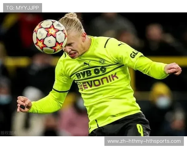 德甲各支球队的中文和英文网名一览